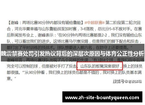 魏震禁赛处罚引发热议背后的深层次原因与体育公正性分析